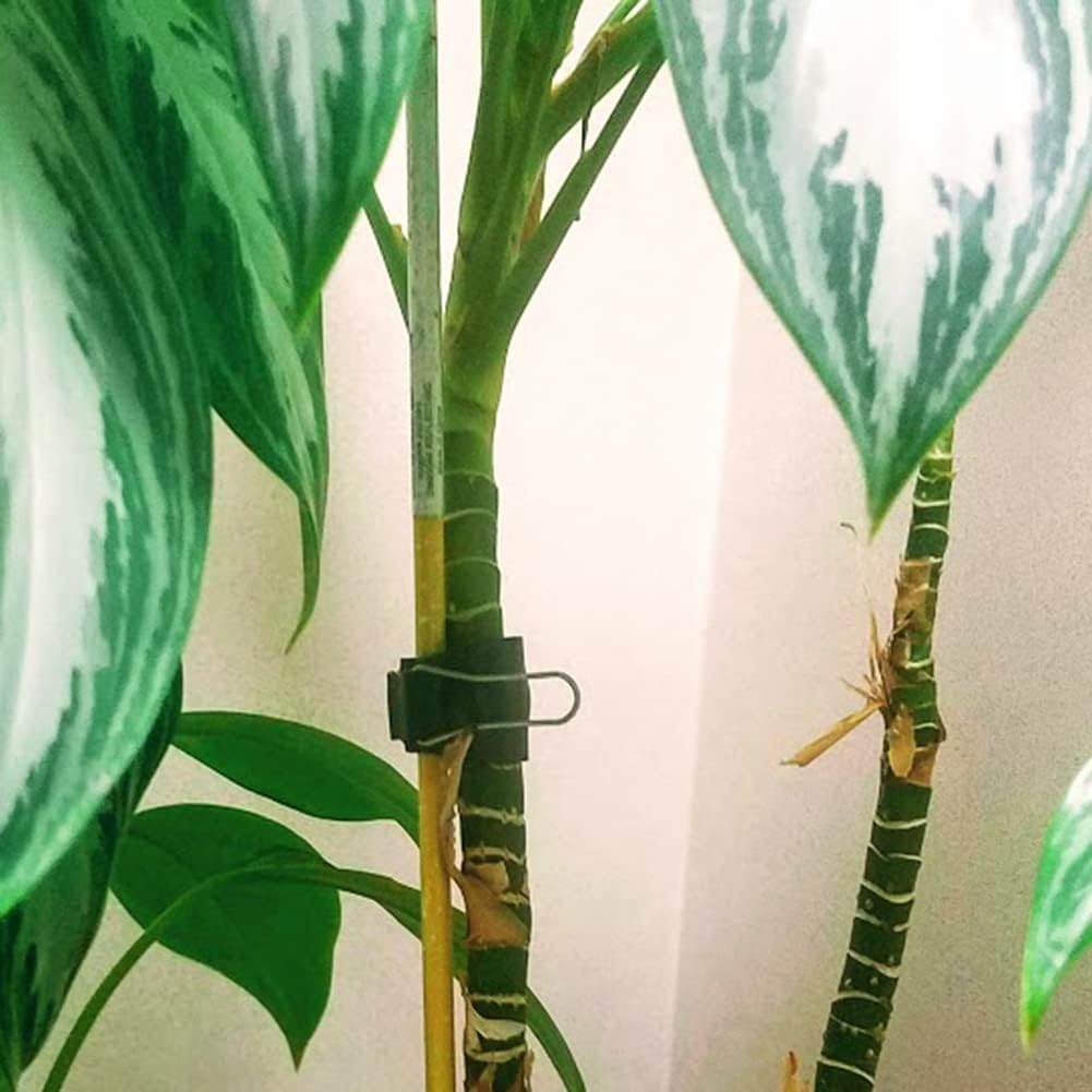 Cable Management Clips – Reusable, Versatile Cord Holders for Outdoor String Lights & Décor - 12 Green Pack (4 Small, 4 Medium, 4 Large)