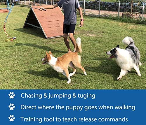 Interactive Flirt Pole Toy for Dogs Chase and Tug of War,Durable Teaser Wand with Pet Fleece Rope Tether Lure Toy to Outdo...
