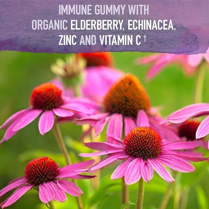 Garden of Life Organics Elderberry Gummies for Adults & Kids - Immune Support Supplement with Organic Fruit & Organics Men's Gummy Vitamins Multi Berry, 120 Count