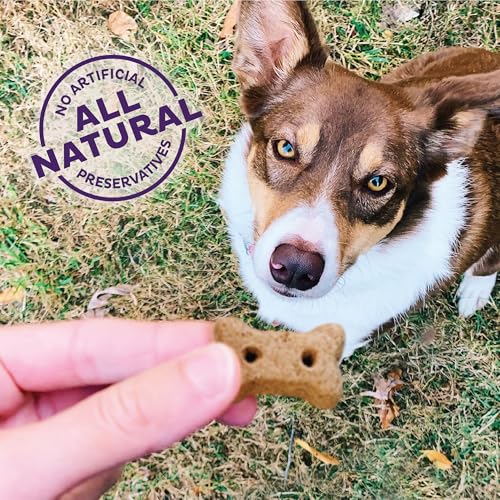 Old Mother Hubbard Wellness P-Nuttier Dog Biscuits, Natural, Training Treats, Peanut Butter Flavor, Mini Size, (20 Ounce Bag)