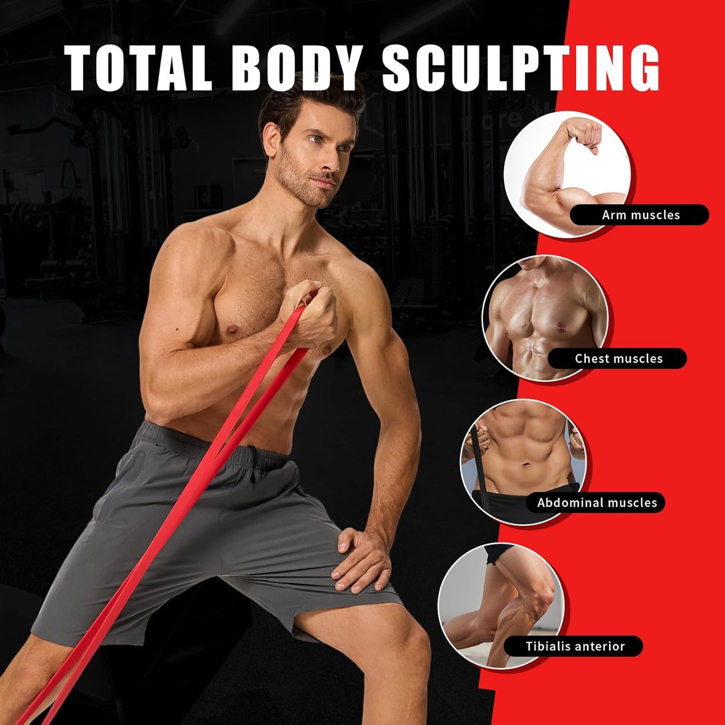 Professional Resistance Bands, Pull Up Assistance Bands Set with Door Anchor, Exercise Workout Bands for Working Out, Body Stretching, Fitness, Physical Therapy, Muscle Training for Men & Women