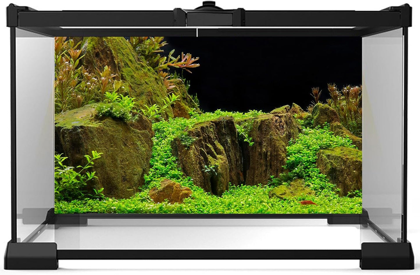 Aquarium Background Exquisite Underwater Grass with Moss Aquarium Backdrop Mysterious Stone Aquarium Background Durable Vivid and Fresh Leaves Background Tank Backdrop Decor Vinyl 36x24in
