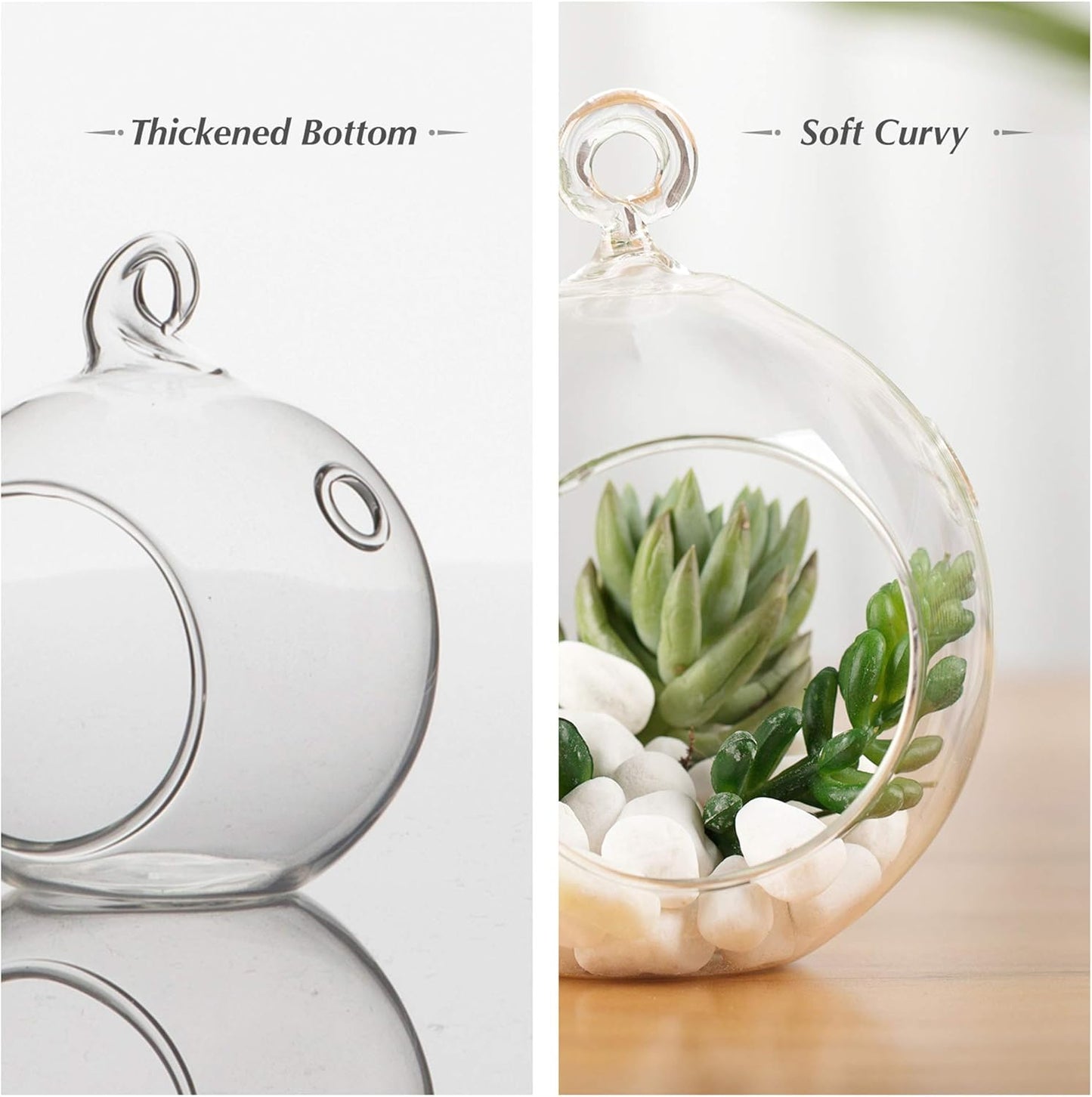 WGV Hanging Terrarium Globe, Width 5", Height 6", DIY Air Succulent Planter, Clear Glass Vase Orb with Flat Bottom, Candle Holder for Windowsill Outdoor Garden Decor, 6 Pieces Bulk