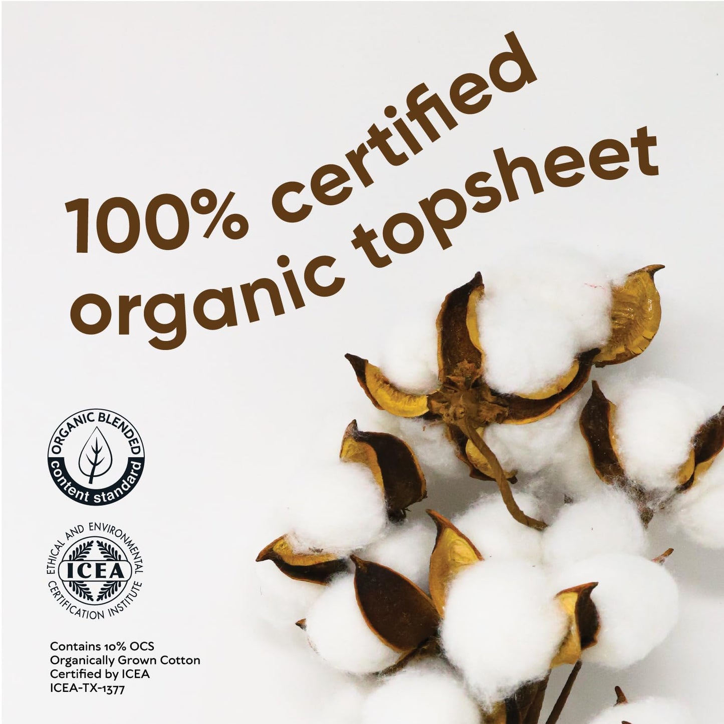 Oi | Organic Initiative Incontinence Pads for Women, Certified Organic Cotton Topsheet, Odor Control, Breathable and Hypoallergenic, Absorbs up to 10floz, Regular (10.6 inches) 44 Pads