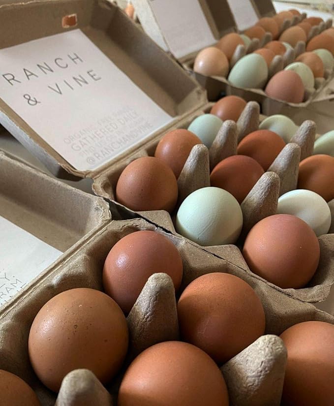 "Vintage Egg Cartons for 12 Large Eggs – Classic 3x4 Layout – Durable Recycled Cardboard – Farmhouse Style – Eco-Friendly Packaging - Tan 200 Pack