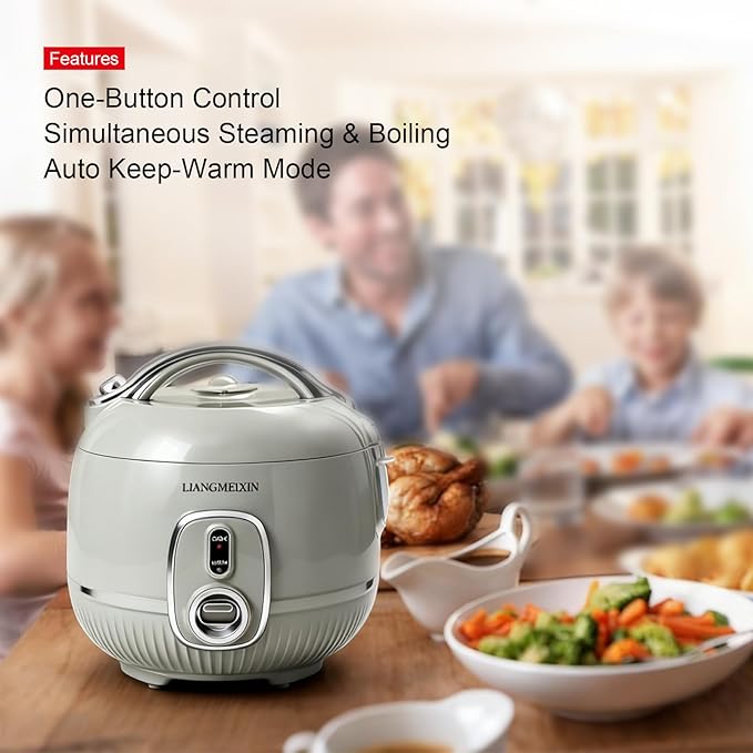 Mini Rice Cooker, 1.6L Protable Non-Stick Small Travel Cooker, PFAS-free, 5-Cup (Uncooked)/8-Cup (Cooked) Small Rice Cooker, with Steamer,Rice Ball Maker, Measuring Cups, Sponge , and Keep Warm up to 12 hours