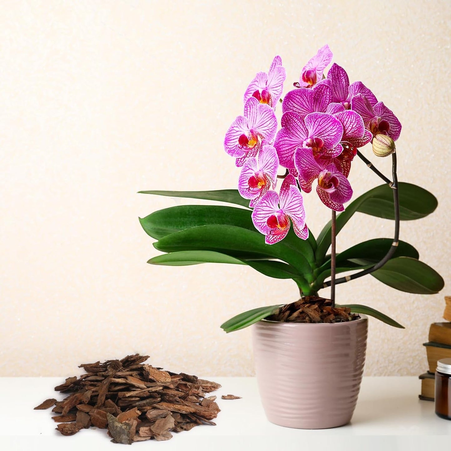 Orchid Bark 2qt, Natural Pine Bark Mulch for Plants, Great for Orchids, Succulents, Cactus, Bonsai, Ideal for Houseplant Mulch