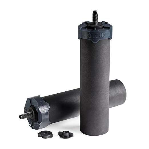 Foundation. Boroux Black Water Filters for Gravity-Fed Water Systems (Set of 2)