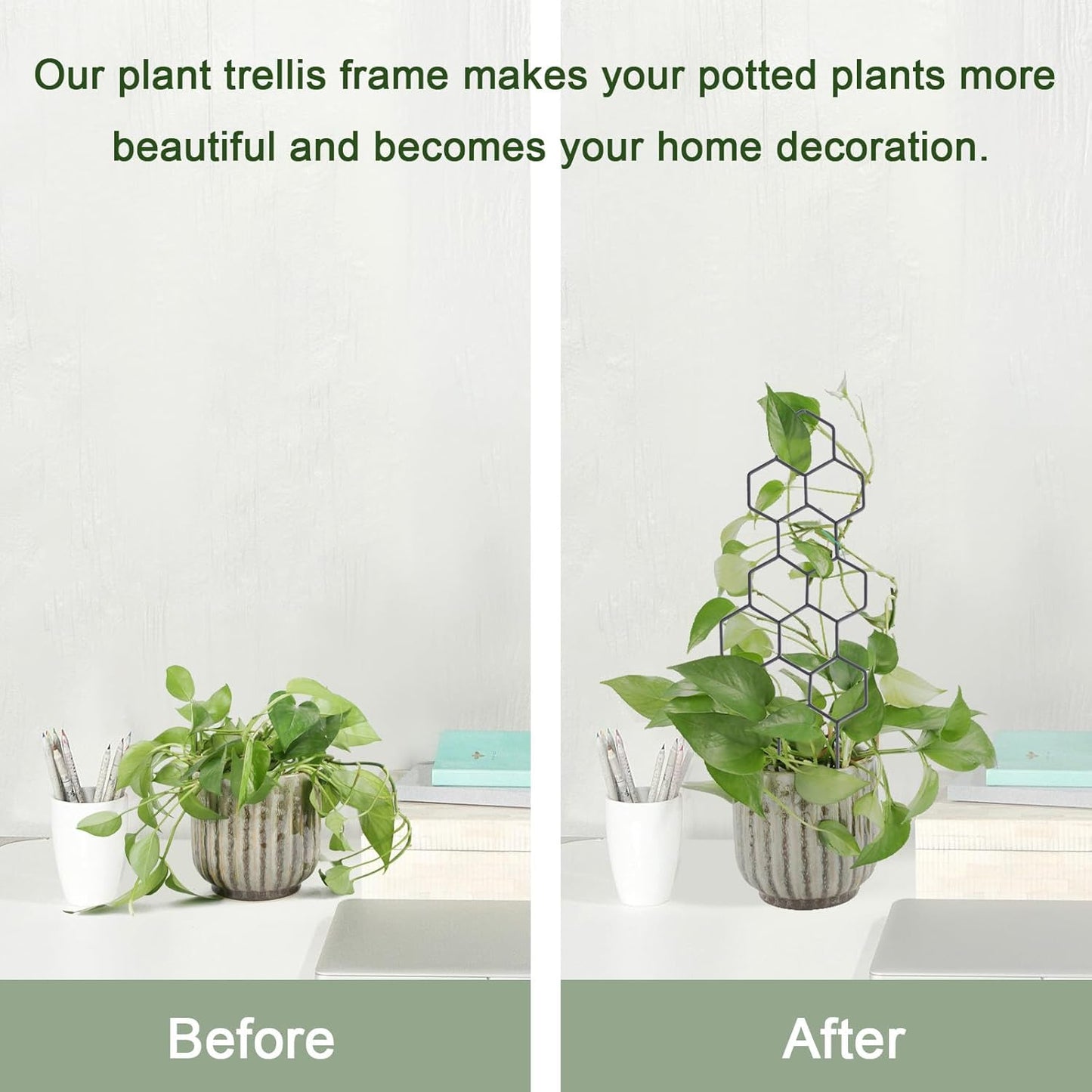 Small Trellis for Potted Plants, 15.94 inch Metal Plant Trellis for Climbing Plants Indoor Pot Honeycomb Shape Lattice for Ivy Vines Hoya Houseplants Flower 2 Pack