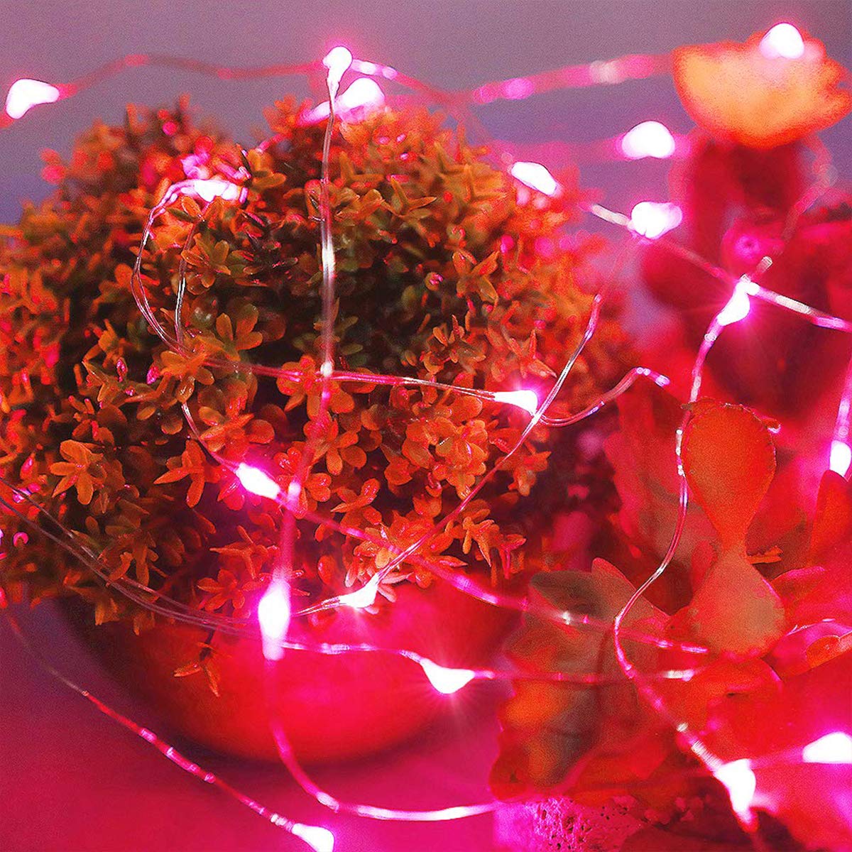 Ariceleo LED Fairy Lights, 2 Pack Mini Battery Powered Copper Wire, 5m/16ft, Red, Model MRSXD-RD-5M-2, Ideal for Bedroom and