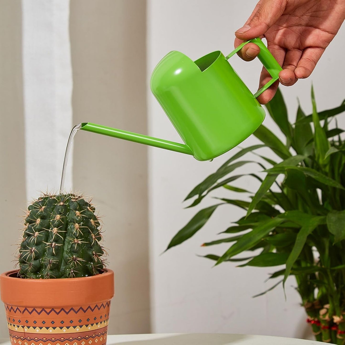 Watering Cans, 10oz/300ml Stainless Steel Long Spout Small Watering Sprinkling Pot, Indoor Outdoor Garden Flower Succulents Plant Watering Cans, Stylish Gardening Decoration(Green)