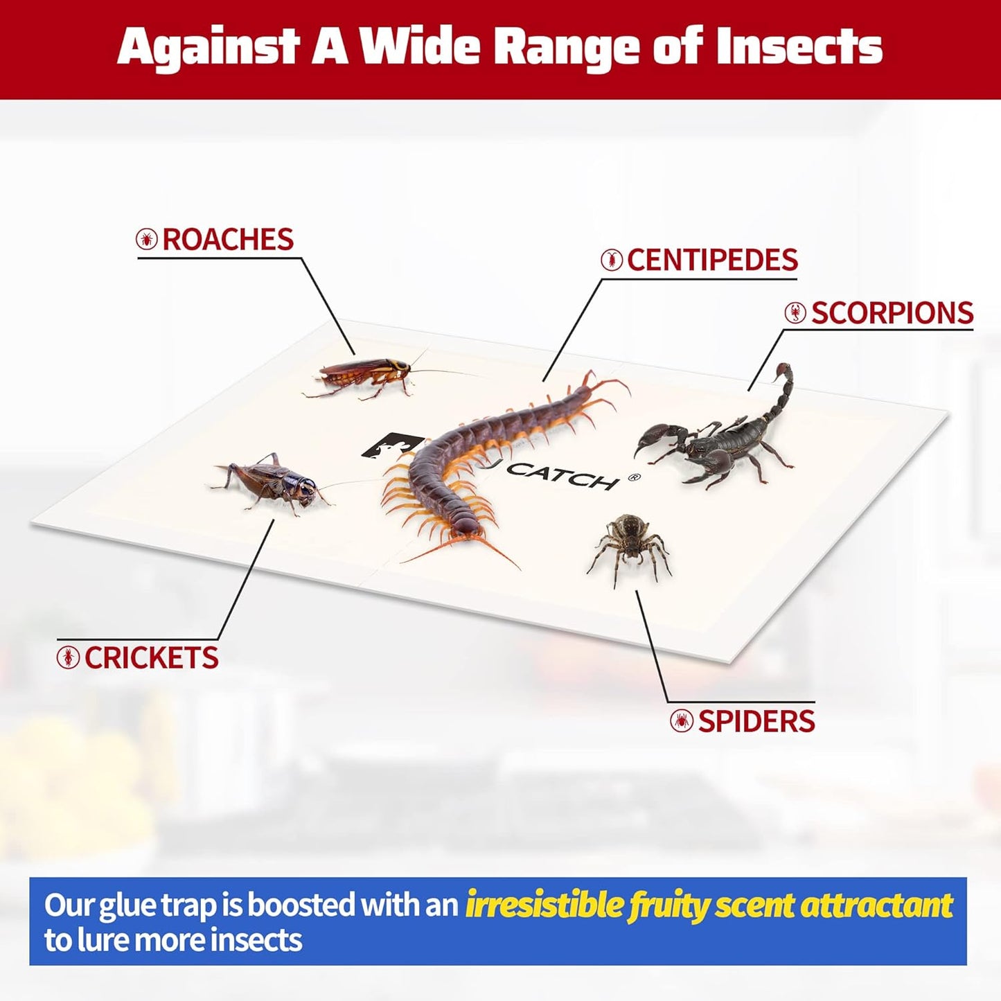 LULUCATCH Cricket & Insect Glue Traps 24 Pack, Adhesive Bug Catcher, Pre-Baited Spider Scorpion Trap, Non-Toxic Glue Boards Indoor for Home Catching Bugs,Small Mice & Rodents, Pet Safe Pest Control