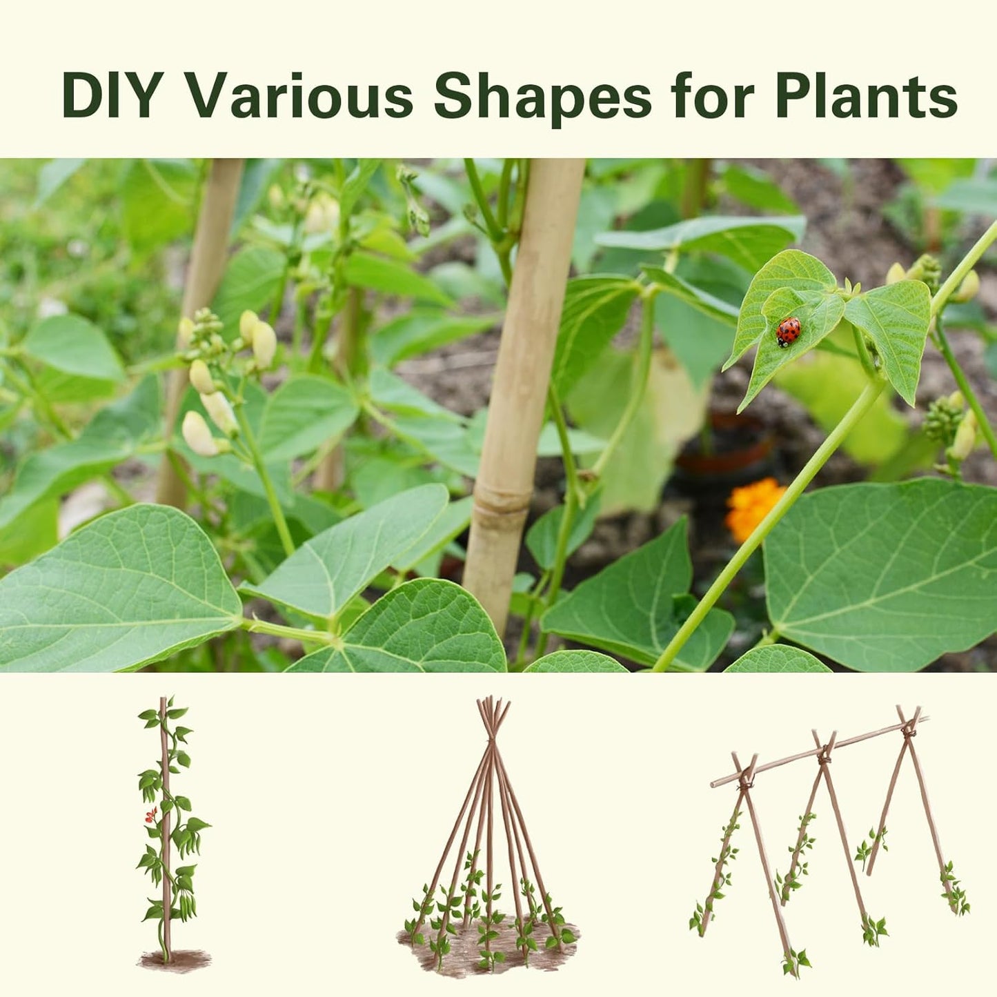 Bamboo Stakes 3 FT 30pcs, 36 inch Garden Stakes Multi-Purpose, Bamboo Plant Support Stakes for Tomatoes, Beans, Peppers, Flowers, Potted, Maintain The Plant Posture, Strengthen and Stem