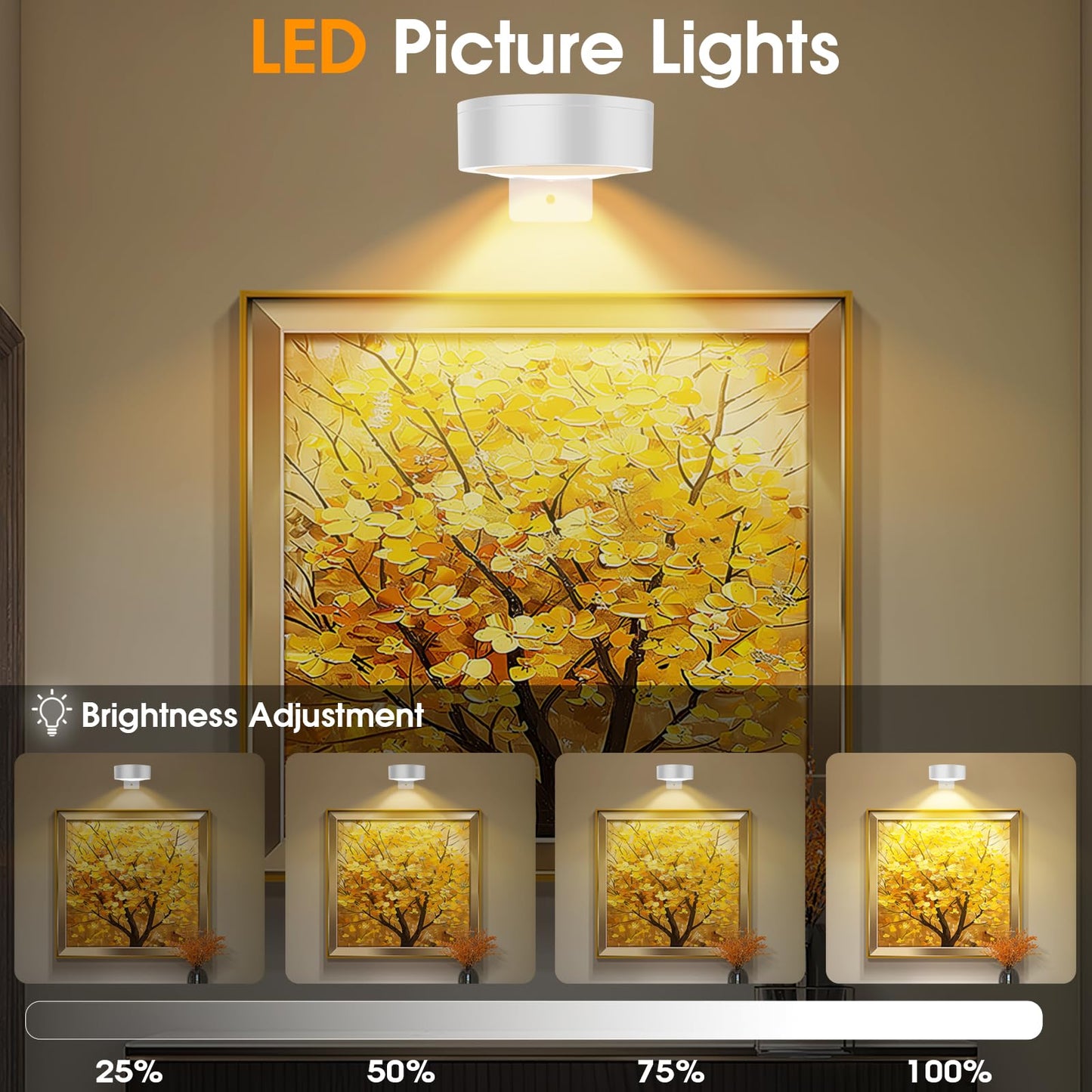 SIXDEFLY RGB LED Art Display Light, 6 Pack, Rechargeable, Remote Control, Dimmable, White