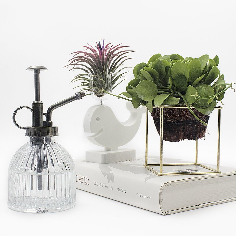 Glass Plant Mister Water Spray Bottle, 200 ML Glass Plant Spritzer Mister Bottle, Vintage Style Glass Succulent Watering Bottle with Top Pump, Plant Sprayer Mister for Indoor Plants - Clear