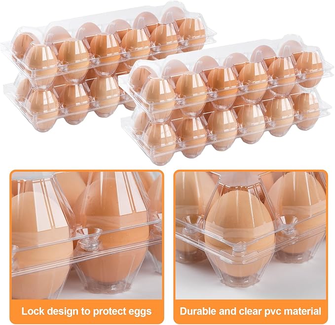 40 Pack Clear Egg Cartons Cheap Bulk,Plastic Egg Carton Bulk 12 Count,Reusable Egg Holder, Medium Egg Containers for Chicken Eggs 2x6 Grids