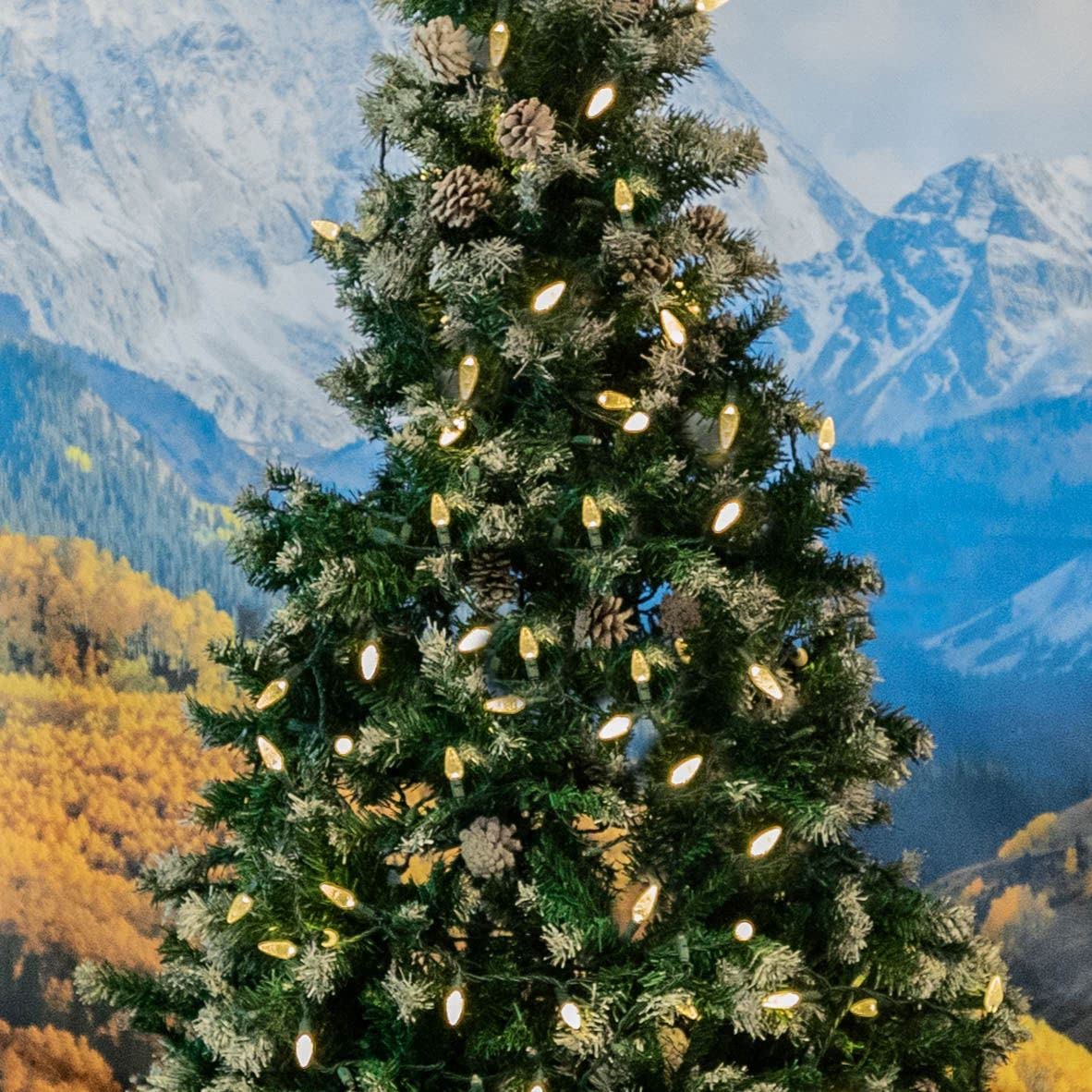 Novelty Lights 24Ft 70 Led C6 Christmas String Lights  Outdoor Commercial Grade Tree Decorations  Permanent Led Lights (Warm White)
