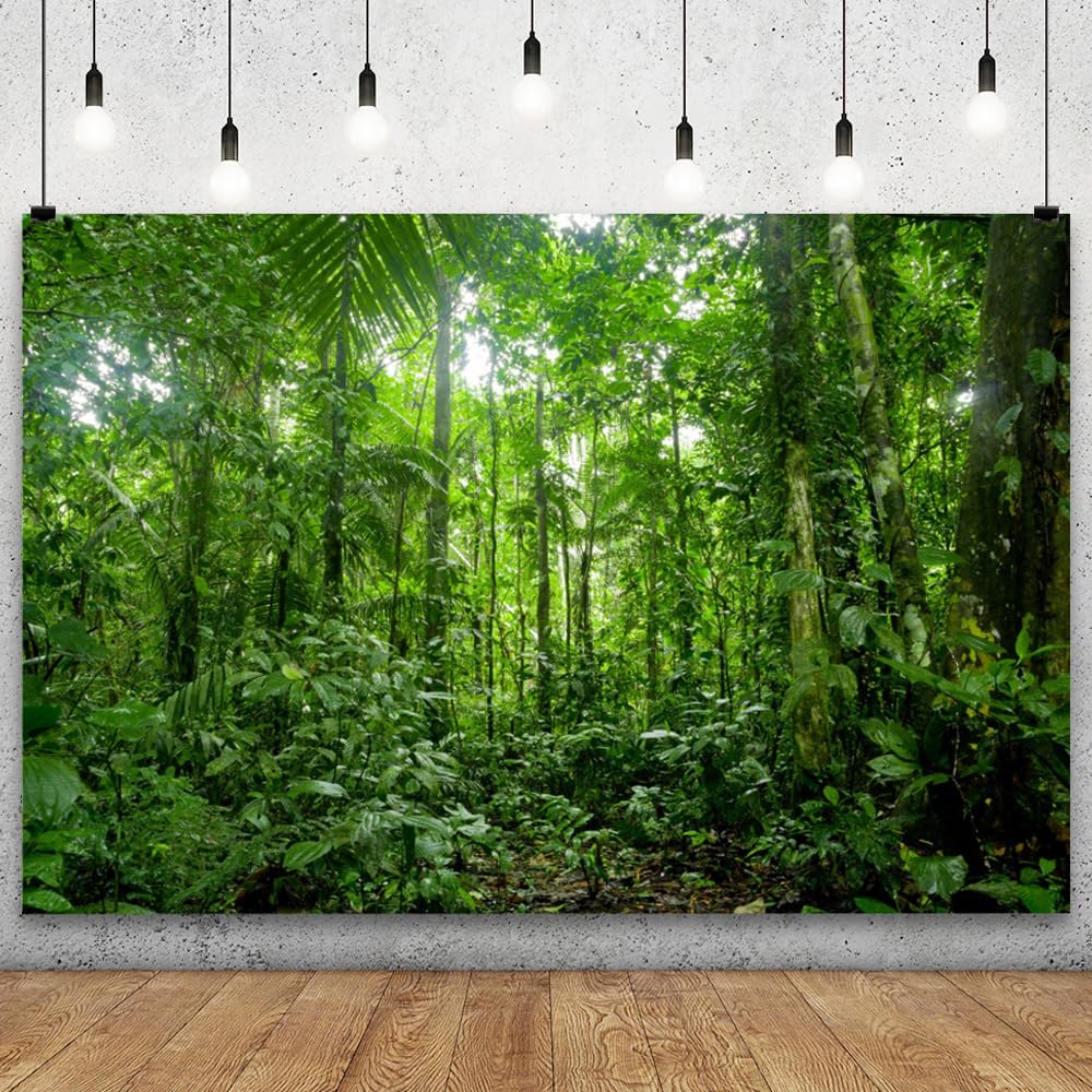 Yongfoto 12X8Ft Jungle Forest Trees Backdrops For Photography Summer Woods Wonderland Trees Plant Spring Nature Landscape Photog