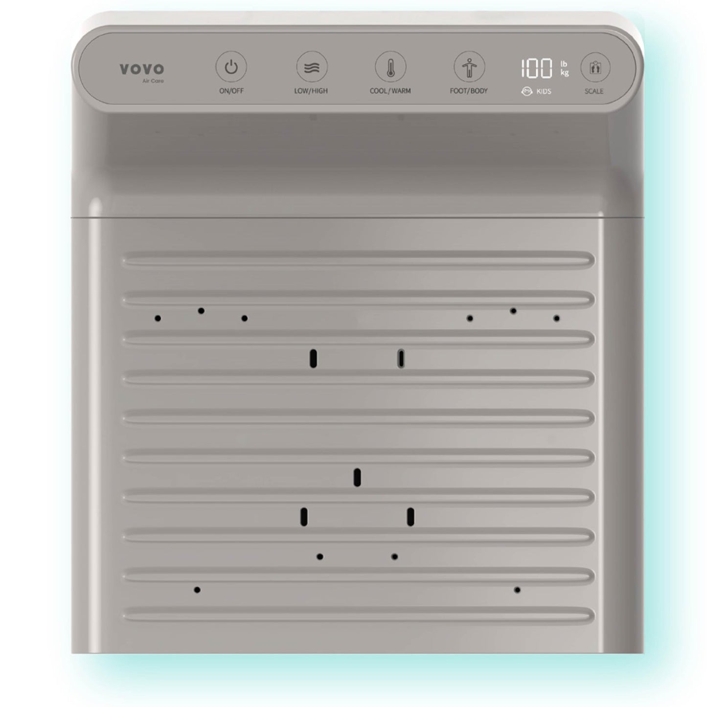 VOVO STYLEMENT BD-7700G Body & Foot Dryer for bathroom, Temperature & Wind Volume Controlled Dryer with Intuitive Display, Water