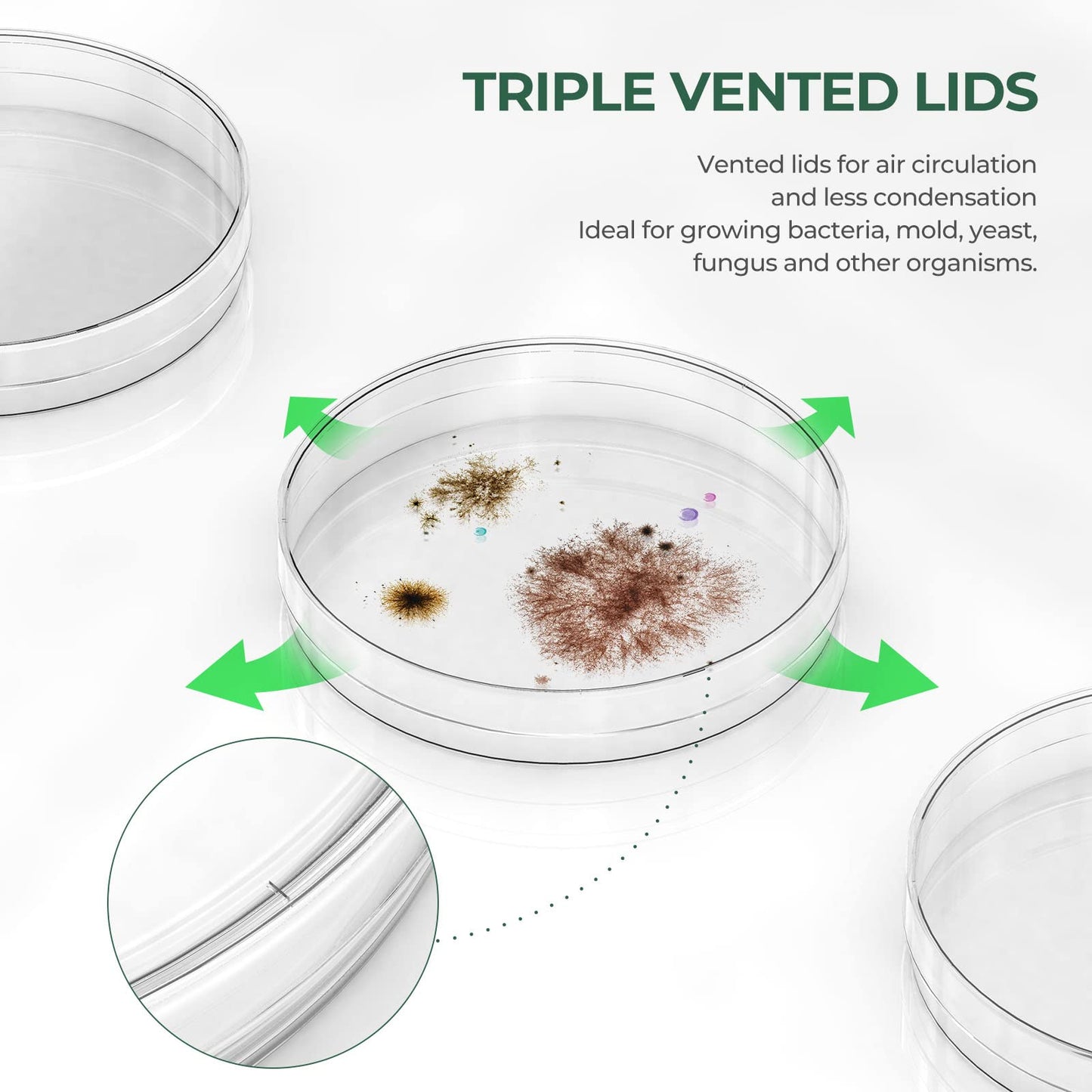 10 Pack Sterile Thick Plastic Petri Dishes with Lid, 90mm Dia x 15mm Deep Clear 3 Vents Petri Dish for Lab Science Experiment