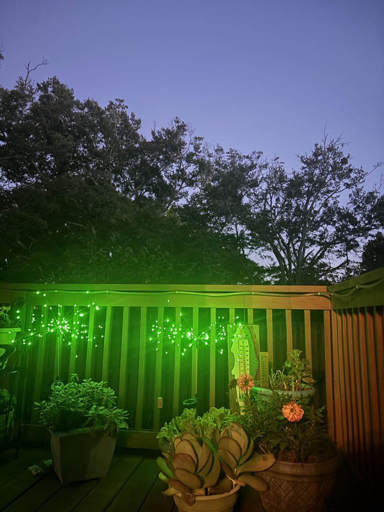 Yotozu 2 Pcs Solar Firework Light  Outdoor Solar Garden Decorative Lights 120 Led Powered 40 Copper Wires String Diy Landscape Light For Walkway Pathway Backyard Decor Parties Perfect Gifts(Green)