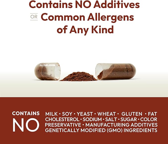 ANDREW LESSMAN Cinnamon 400mg - 240 Capsules - High Potency, Standardized Extract. No Additives. Small Easy to Swallow Capsules