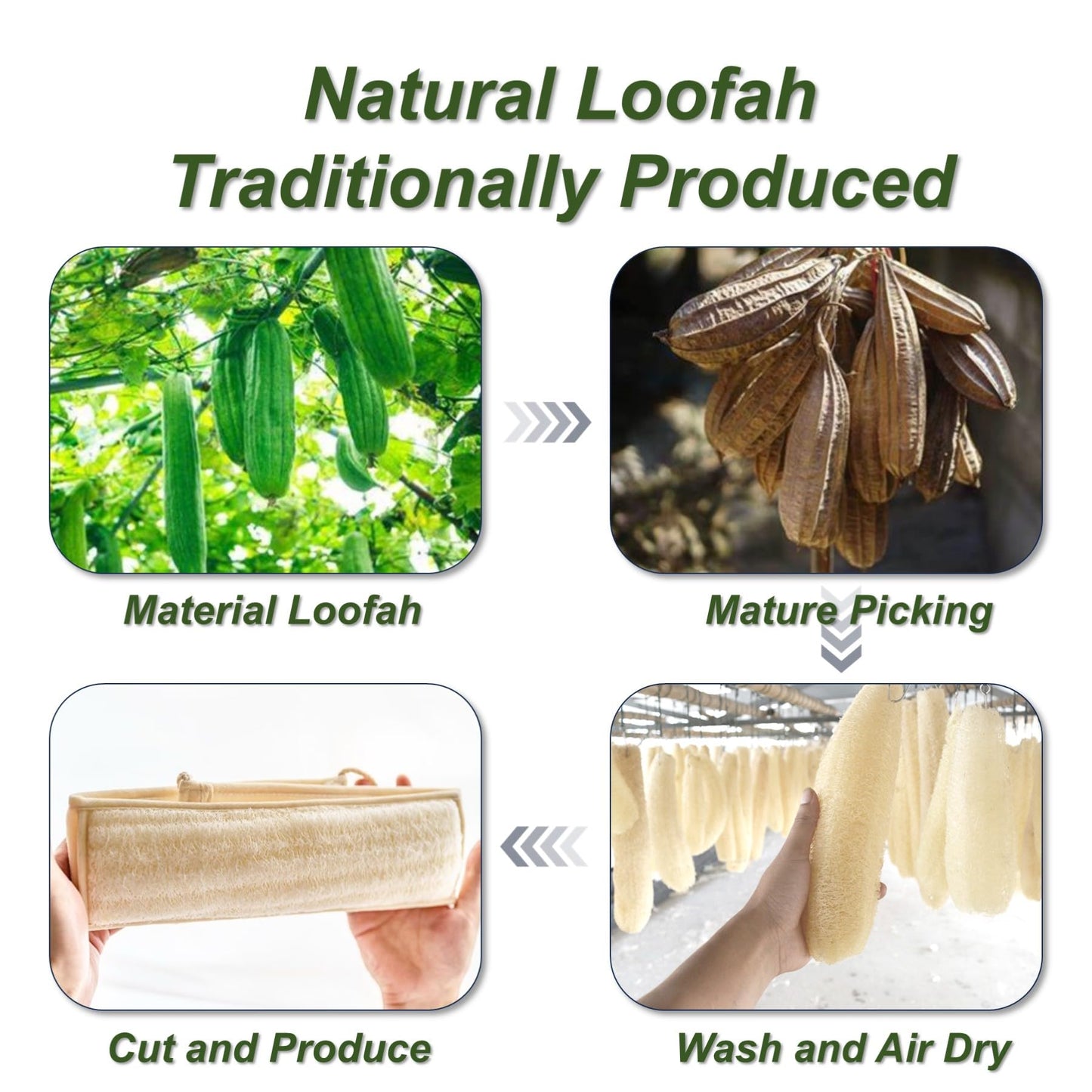 YUNKWONG Natural Loofah Sponge, Exfoliating Body Scrubber for Men Women, Loofah with Handle, Exfoliating Back Scrubber for Showe