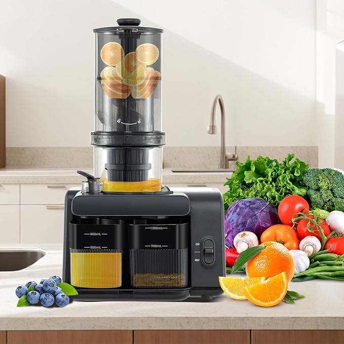 ARLIME Cold Press Juicer, Slow Masticating Juicer w/ 5.3 Inch Large Feed Chute, Juice Extractor w/Reverse Button & Cleaning Brush, Easy to Clean, Juicer Machine for Whole Vegetables & Fruits