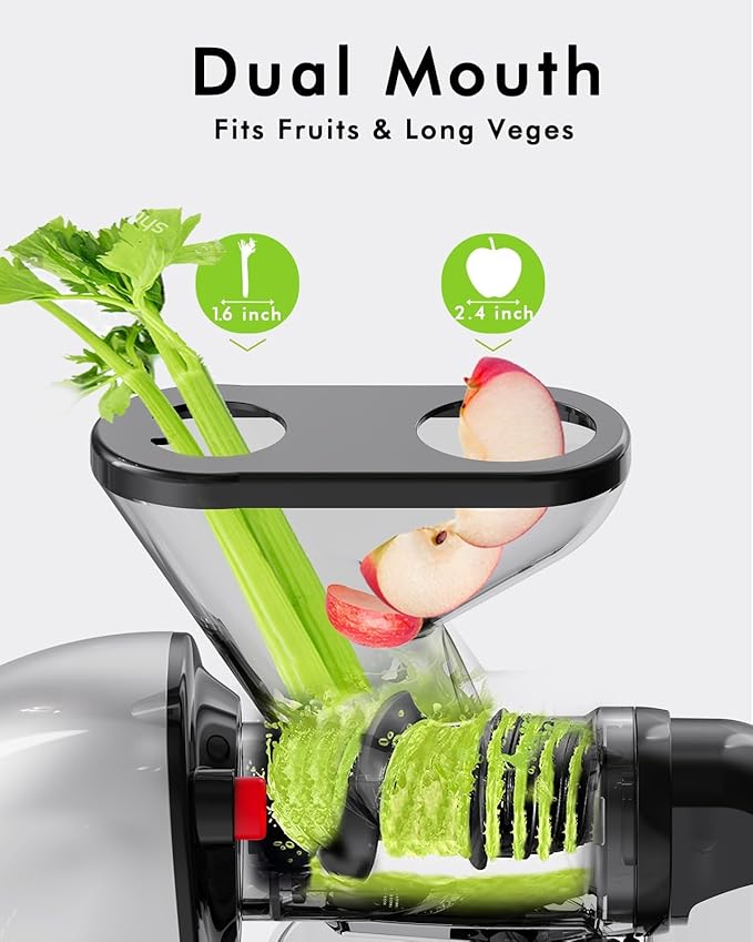 Slow Masticating Cold Press Juicer Machine - Dual Mouth, Quiet, Easy Clean, Gray