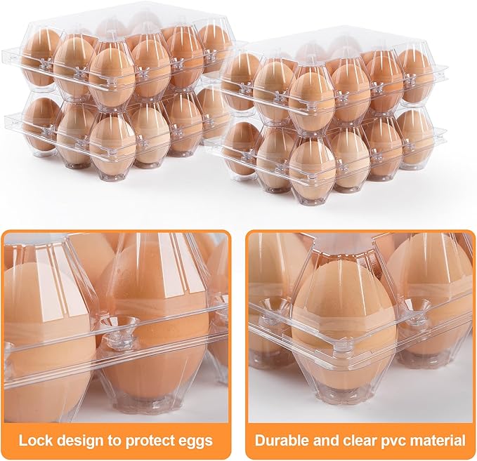 65 Pack Plastic Egg Cartons Cheap Bulk,1 Dozen Clear Empty Egg Cartons for Chicken Eggs 3x4 Grids,Reusable Egg Containers for Family, Chicken Farm, Markets Display