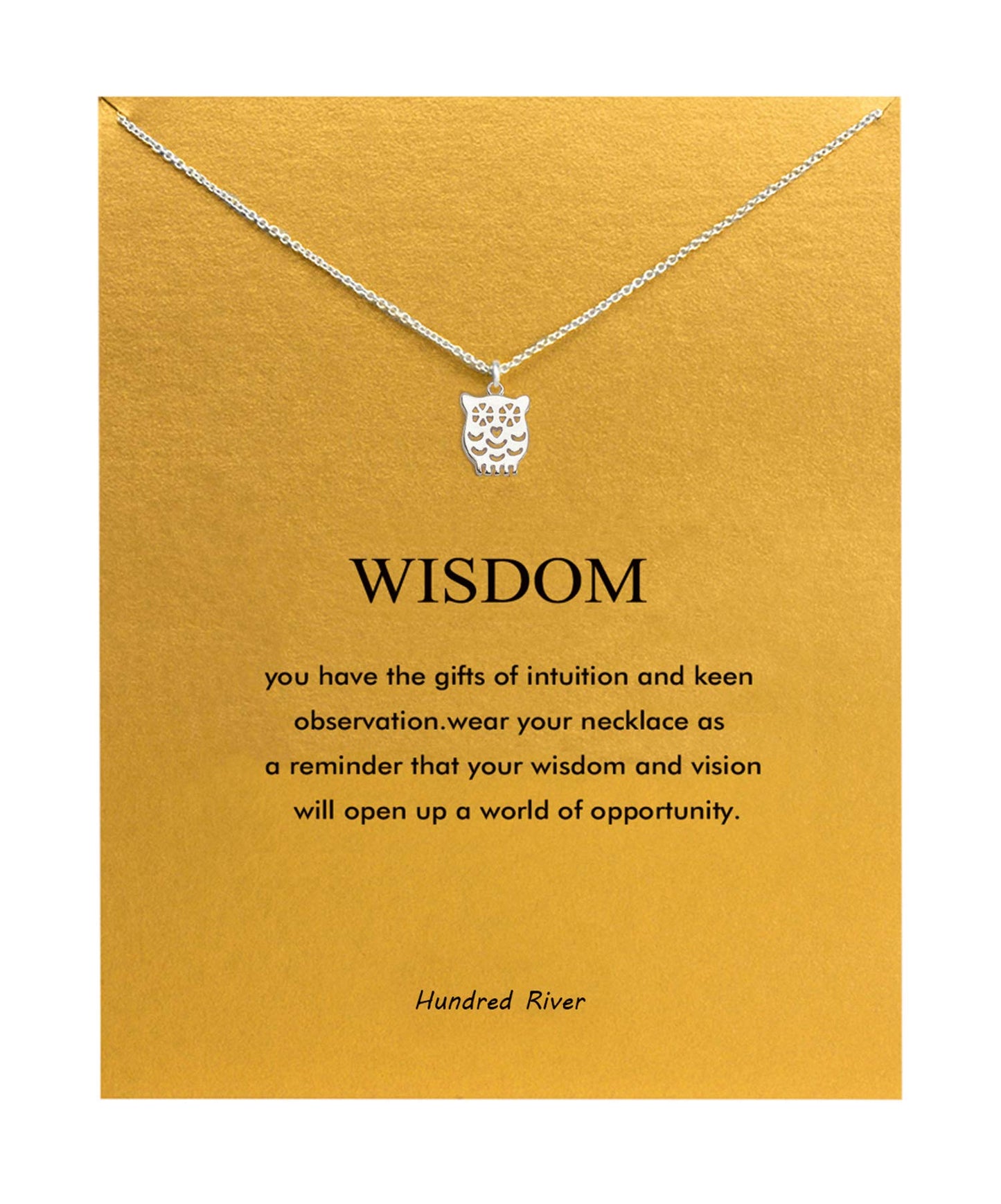 Hundred River Friendship owl Necklace owl Pendant Chain Necklace with Message Card Gift Card (owl s)