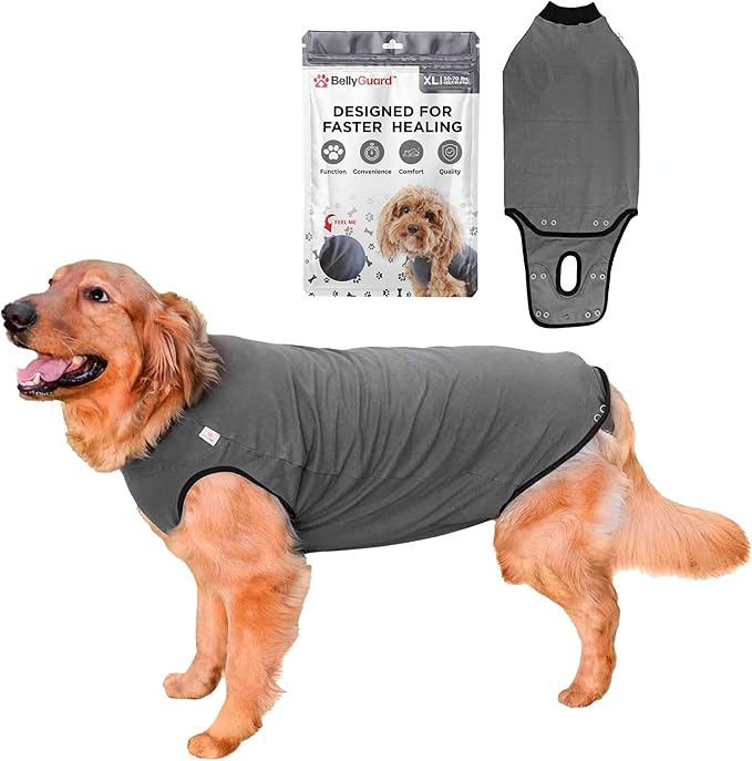 BellyGuard Dog Surgery Recovery Suit, Dog Onesie for Post-Op Care, Recovery Apparel for Female and Male, Surgical Body Cov...