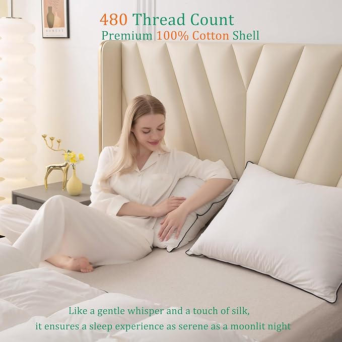Luxury White Goose Down Pillows King Size - 750 Fill Power - 500 Thread Count 100% Cotton Shell - Soft and Support Down Bed Pillow for Back, Side, Stomach Sleepers - Pack of 1 (20 x 36”)