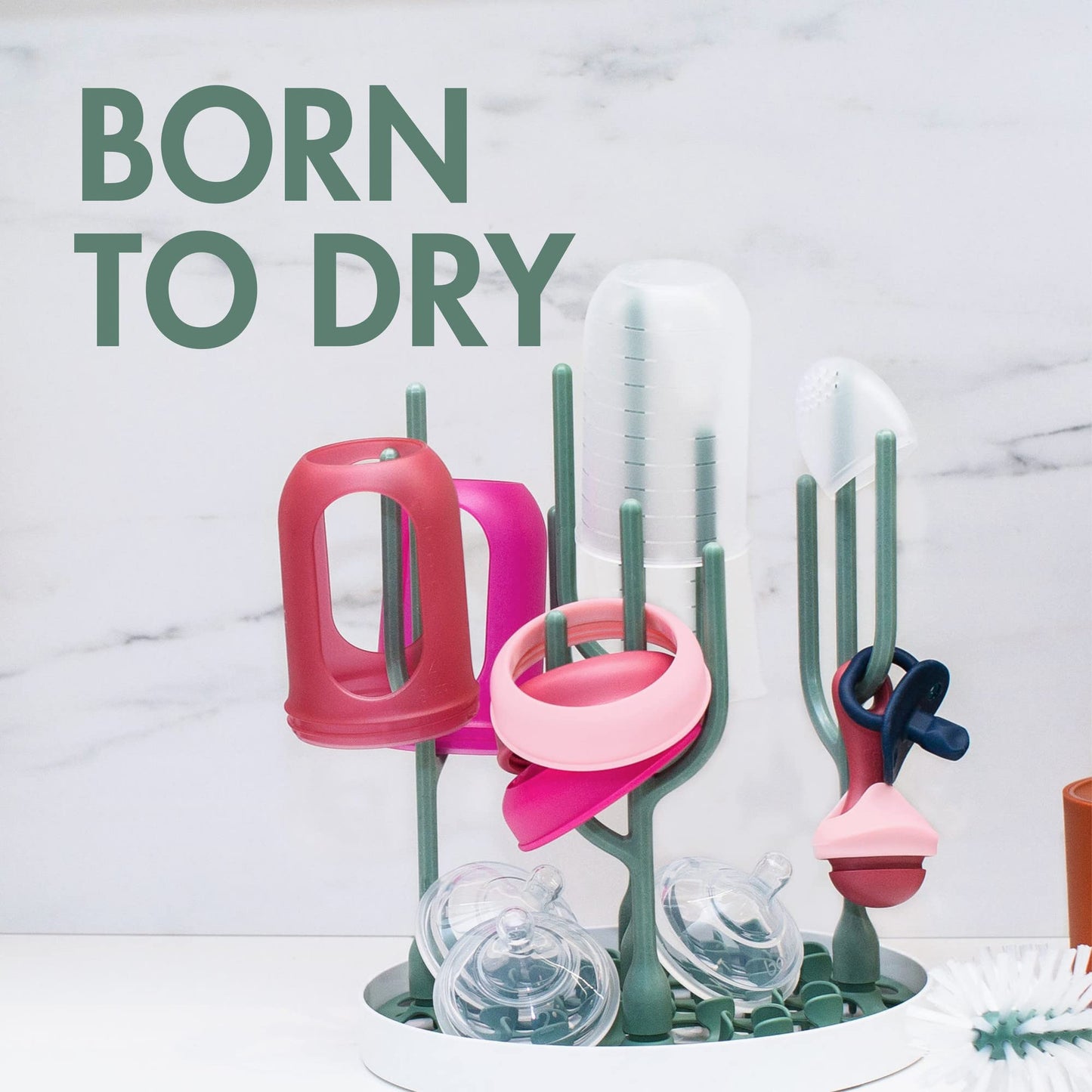 Boon Desert Countertop Baby Bottle Drying Rack & Cacti Cleaning Brush Set - Includes Bottle, Nipple, Detail, and Straw Brushes