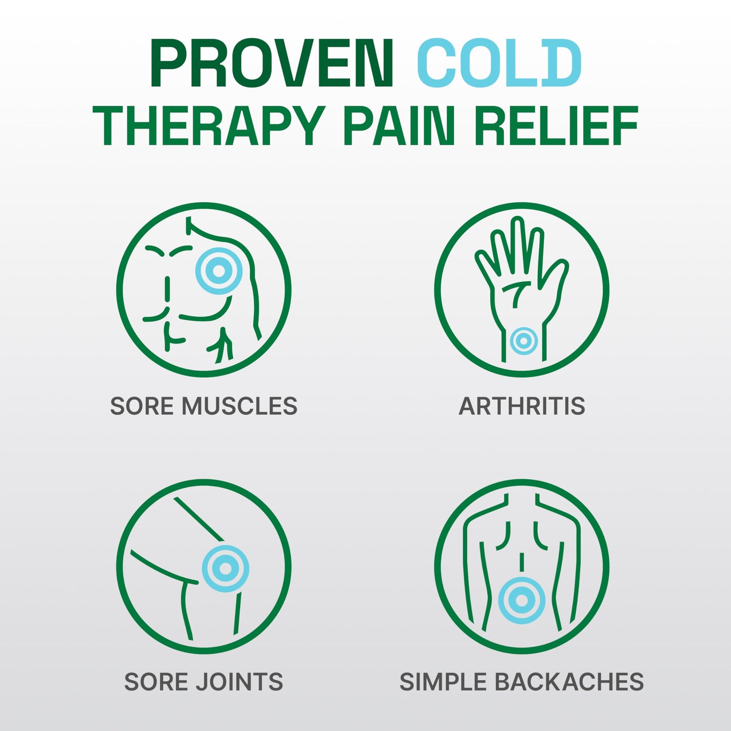 Biofreeze Professional Menthol Pain Relieving Spray 4 FL OZ Colorless Aerosol Spray For Relief Associated With Sore Muscles, Arthritis, Simple Backaches, And Joint Pain (Packaging May Vary)