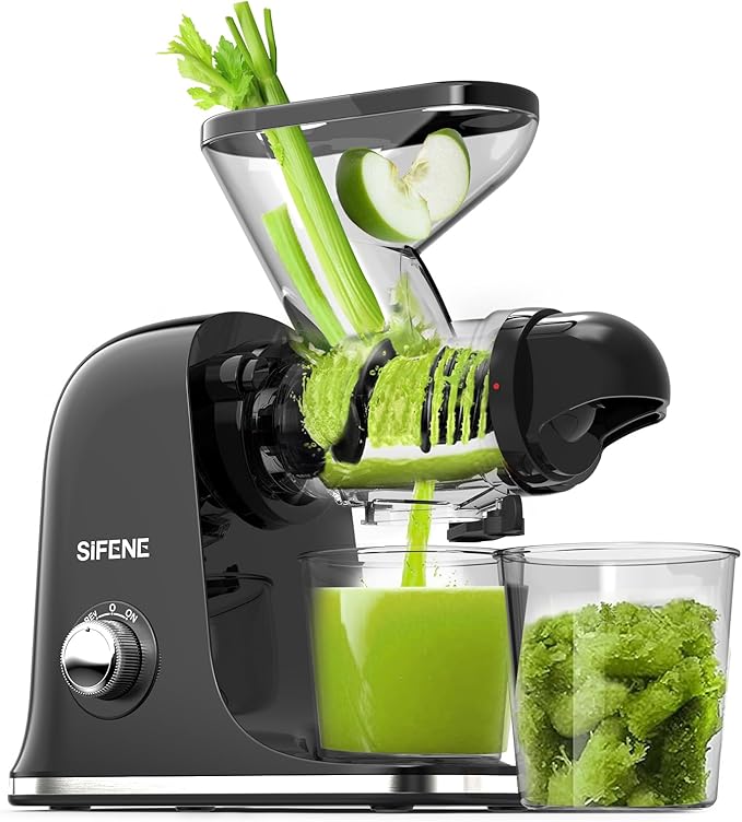 Slow Masticating Juicer Machine – Dual Feed Chute, Easy to Clean, Quiet Operation, High Juice Yield, BPA-Free Cold Press Juicer for Fruits & Vegetables, Black