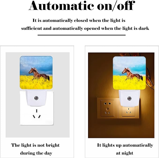 Bay Horse On Rape Field Night Light,Plug-in Night Lights with Dusk to Dawn Sensor for Stairway,Hallway,Bedroom Sleep Friendly Ideal for Women/Girls/Boys Gift,0.5w