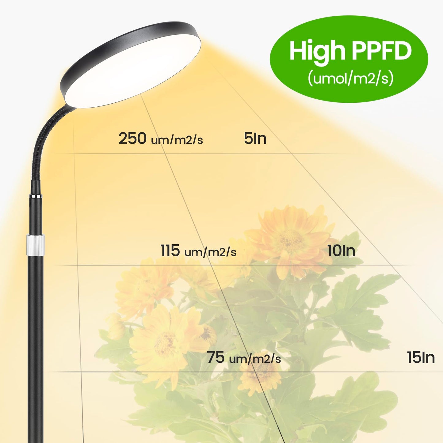 MistyJungle Plant Grow Light, 20W Full Spectrum, 63in Tall Gooseneck Floor Lamp, Black, Aluminum, Model 25PanBlaUS