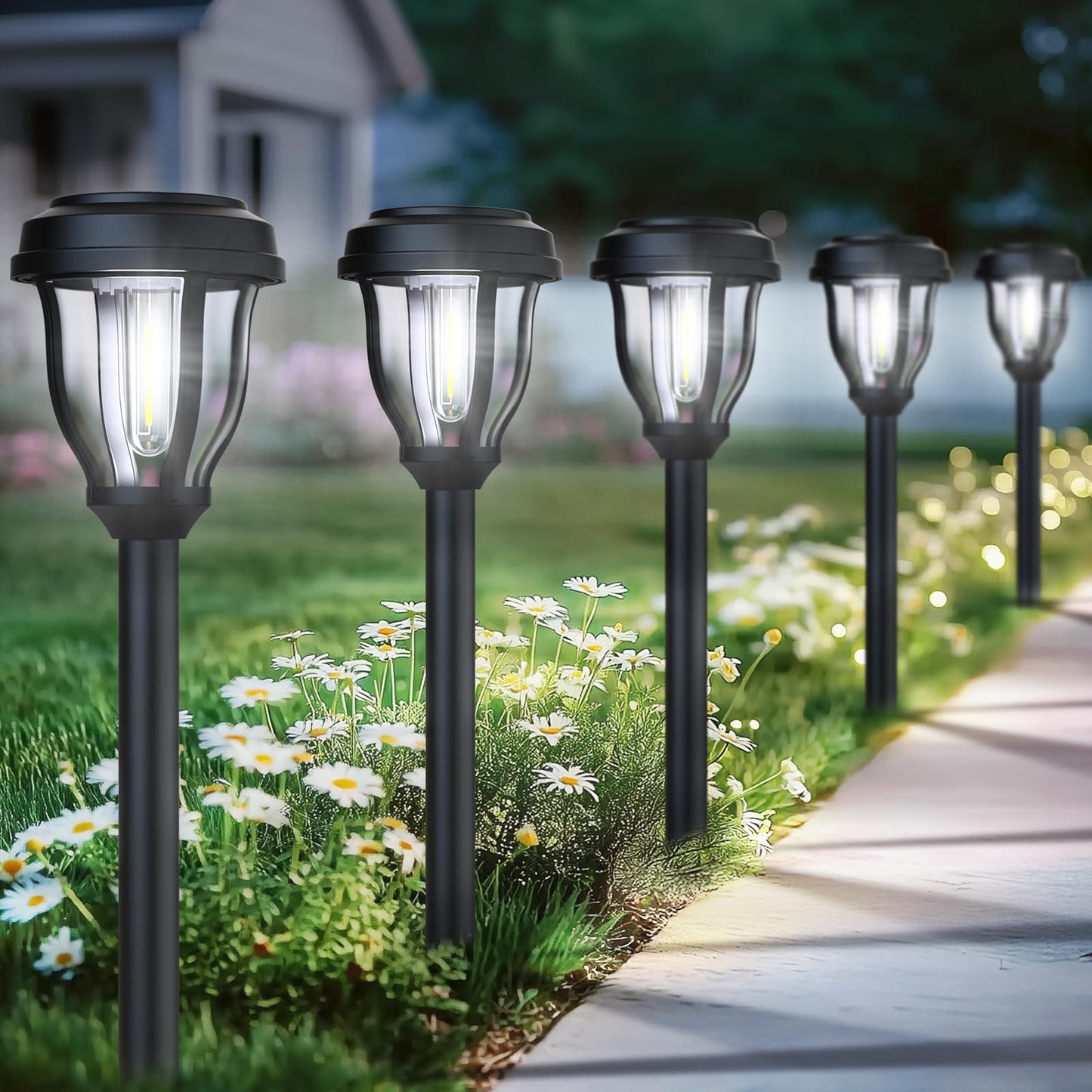 DERAYSION Solar Pathway Lights, 12 Pack, Auto On/Off, Waterproof, Cold White, Model B90H