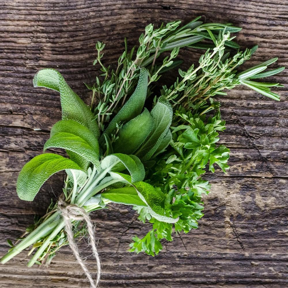 German Thyme Plants - Perfect for Indoor or Outdoor Gardening, High in Antioxidants, Fragrant and Flavorful Herb (2 ger Thyme Bags)