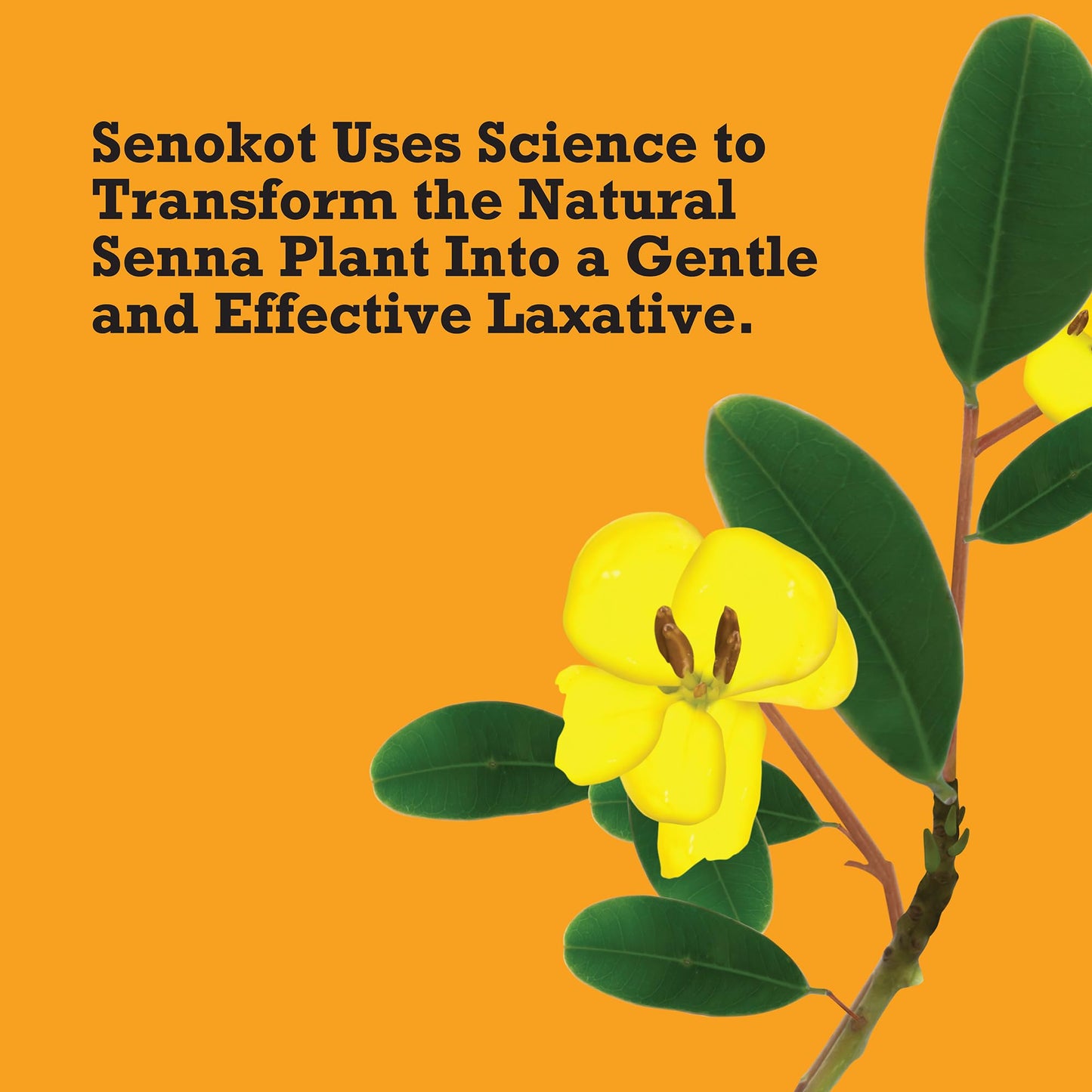 Senokot Extra Strength Senna Laxative Tablets for Constipation Relief for Adults 36 Count
