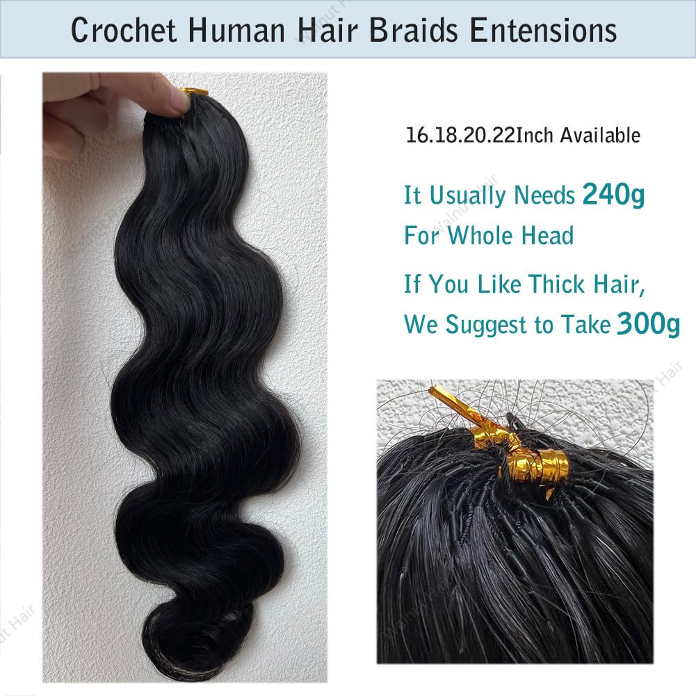 Knotless Pre Separated Crochet Human Hair Extensions Body Wave Brazilian Virgin Human Hair for Boho Braiding Hair Feather Extens