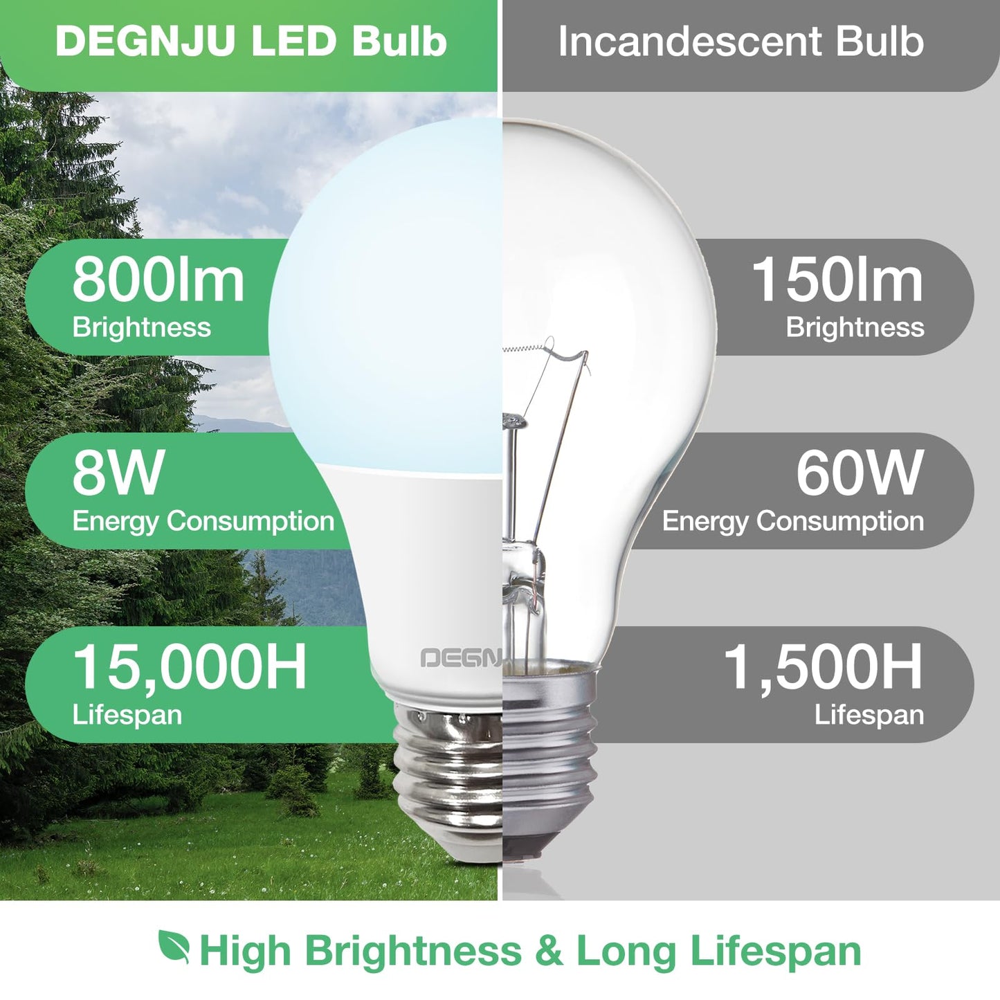 Degnju 36 Pack Led Light Bulbs 60 Watt Equivalent  A19 5000K Daylight  800 Lumens  E26 Base  Non-Dimmable  8 Watt Energy Efficient Led Bulbs For Home Lighting