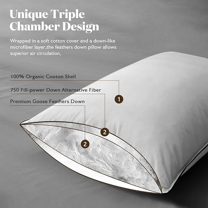 BPC Luxury Feather Down Pillow King Size Set of 2 - Medium-Firm Feather Pillow, 3-Chamber Bed Pillow Inserts with Organic Cotton Cover, Surrounded by Polyester, 20x36 Inches