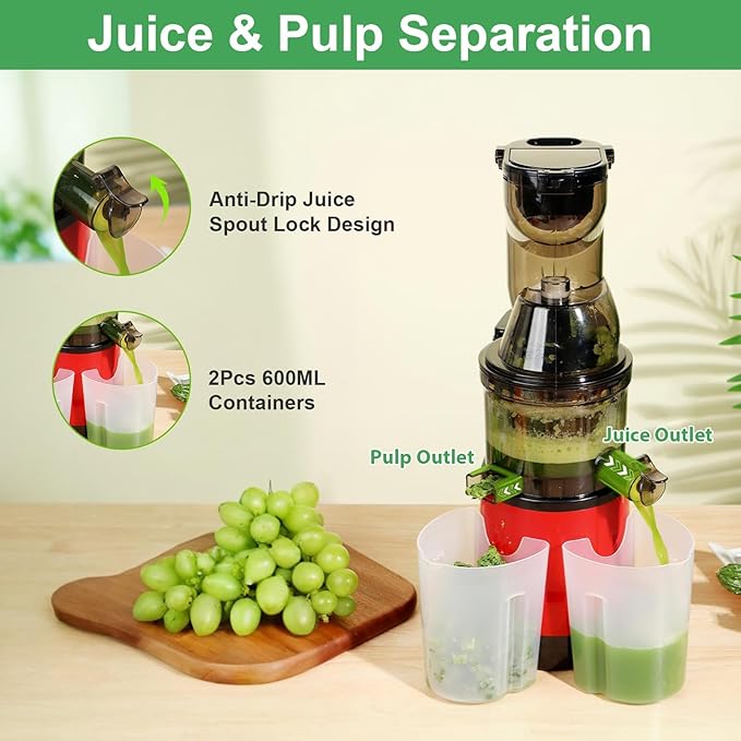 Cold Press Juicer,300W Electric Masticating Juicer Machines with 3" Large Feed Chute for Whole Fruits and Vegetables,Upgraded High Juice Yield Juice Extractor Machine with 2 Cups,Easy to Clean