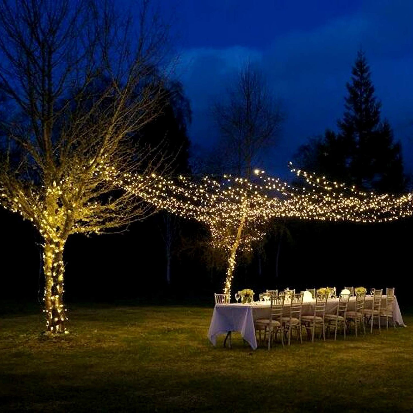 Homemory 200 Led Battery Operated Fairy String Lights, 66Ft Waterproof Warm White Copper Wire, 8 Modes With Remote, Model Hxd20Mt1Nbyk