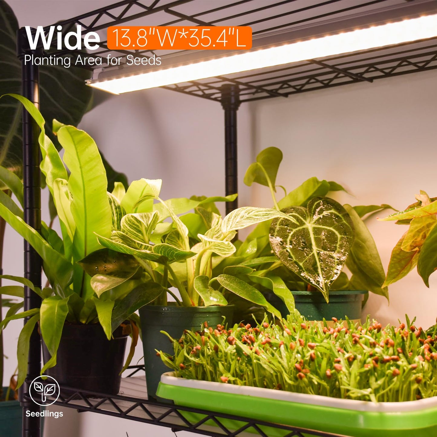 Bstrip 4-Tier Plant Shelf with Grow Lights, 30W T5 Full Spectrum, 35.4in L x 13.8in W x 59in H, Yellow,