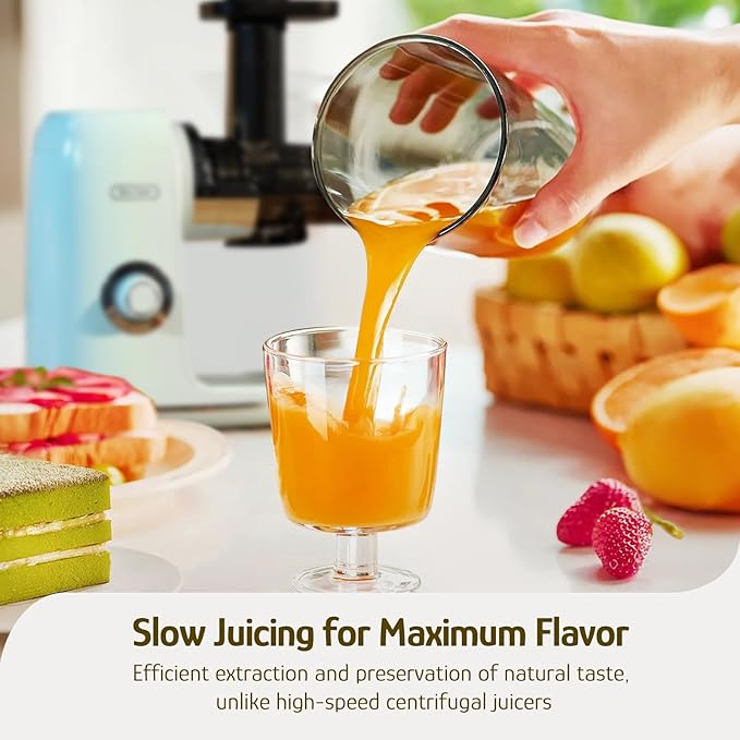 Hazel Quinn Masticating Juicer - Cold Press Slow Juicer for Fruits and Vegetables, BPA-Free Juice Extractor, Easy to Clean, 2-Speed Control, Reverse Function, Quiet Operation, Dishwasher Safe