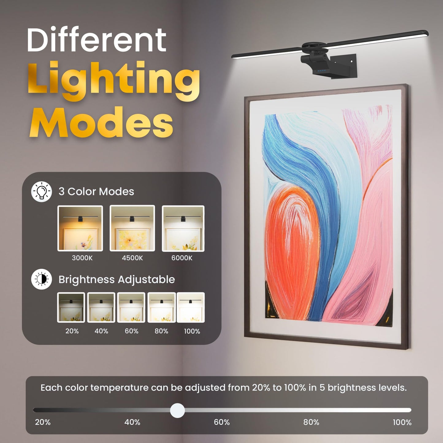 doublacy 2 Pack Picture Light for Wall, 18in Rechargeable, Dimmable, Remote Control, Black, Model AA-3