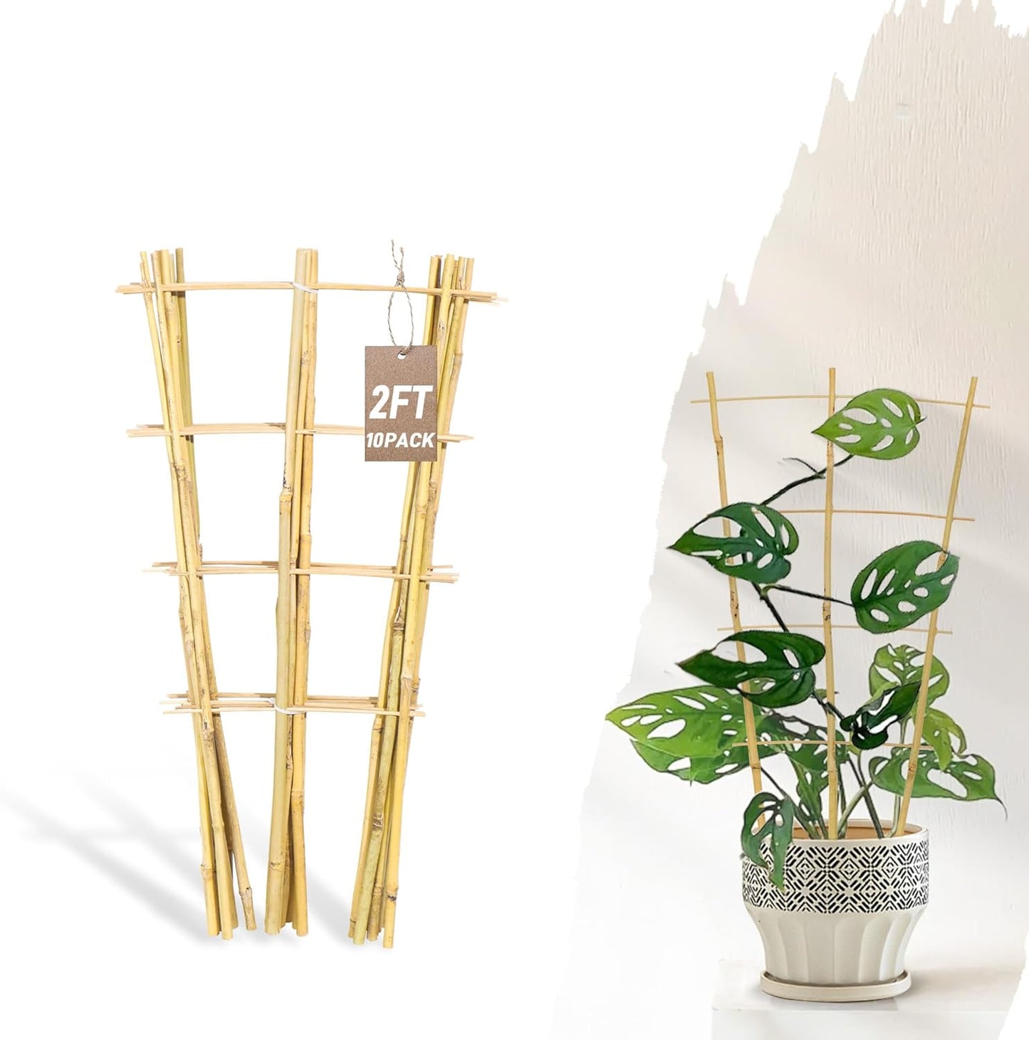 Avalution 10 Pack Bamboo Trellis for Climbing Plants, 2 FT Garden Ladder Trellis for Potted Plants Indoor, Fan-Shaped Small Plant Support Trellis for Houseplants Ivy Hoya Vine Monstera